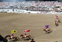 The Greatest Outdoor Show…Calgary Stampede thumbnail